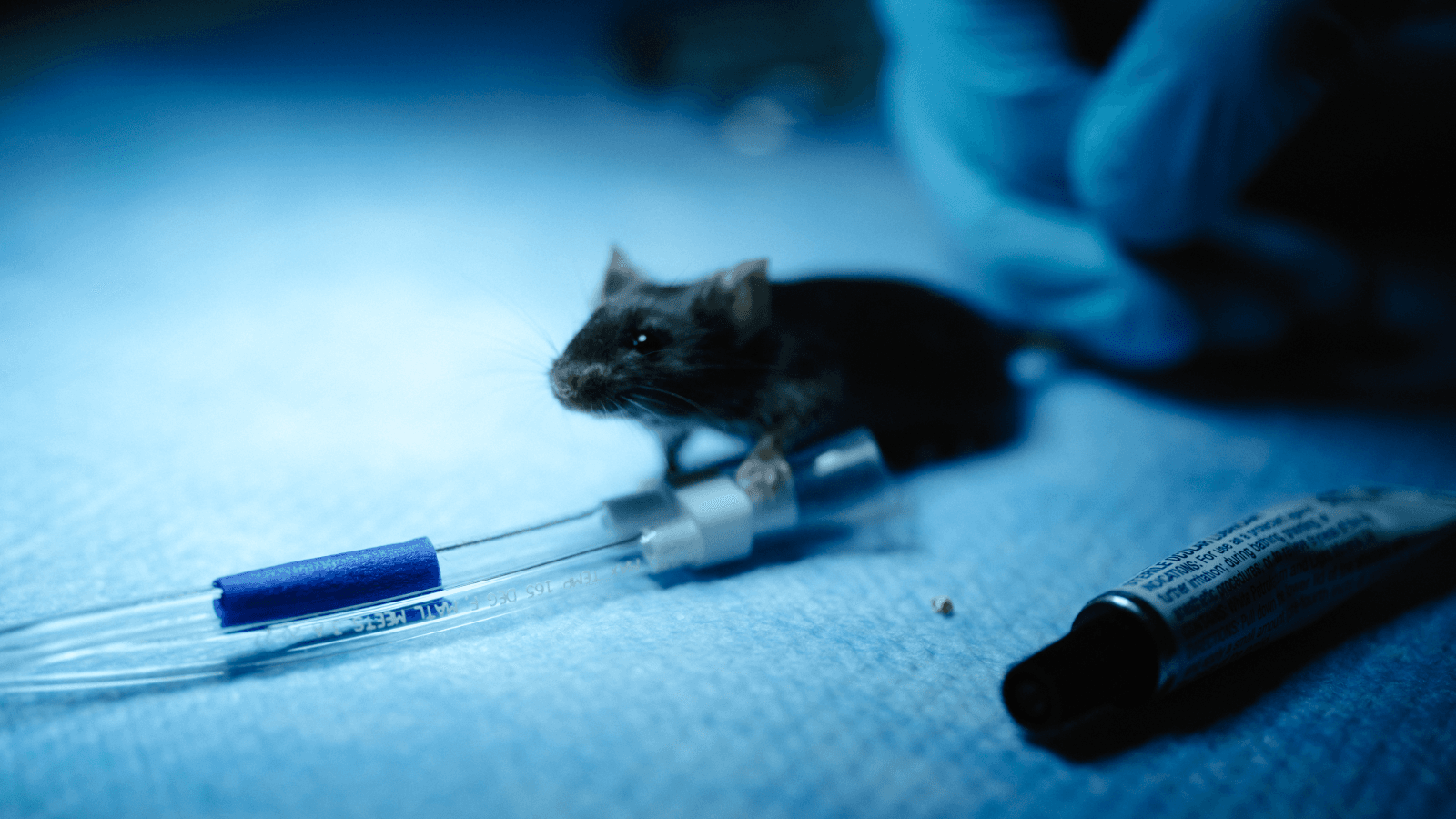 Life at Retro Biosciences